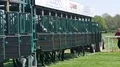 Racing horses waiting in start boxes for the run 4k or 4k+ Resolution