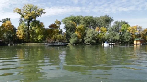 Racing rowing boat passing Stock Footage 80867320