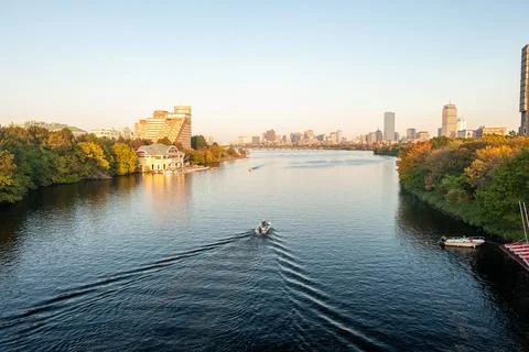 Racing rowing boat on a river Stock Photos
