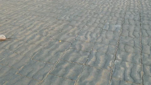 Racing snail 動画素材 94443168