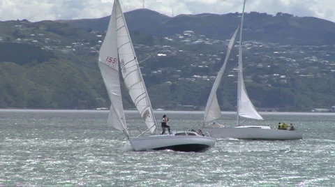 Racing yachts on a harbour Stock-Footage 4909919
