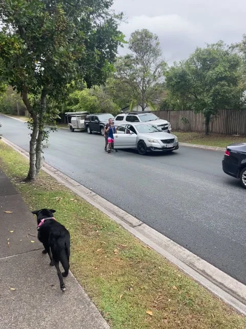 Racist Road Rage Over Roundabout, Noosaville, Noosa, Queensland, Australia - 27  Stock Footage 286355304
