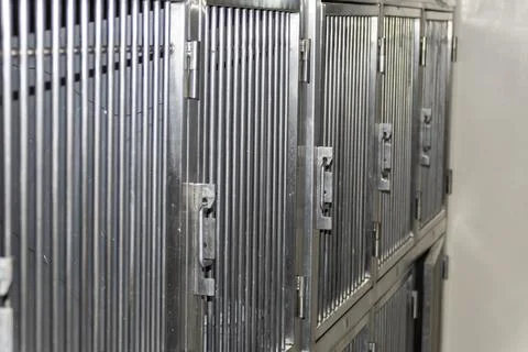 A rack of cages for animals Stock Photos