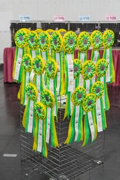 Rack displaying vibrant, first-place award ribbons in a Kyiv exhibition set.. Stock Photos
