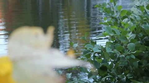 Rack Focus #1 Stock-Footage 10900137