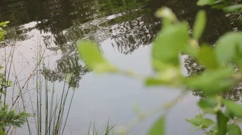 Rack Focus #2 Stock-Footage 10898150