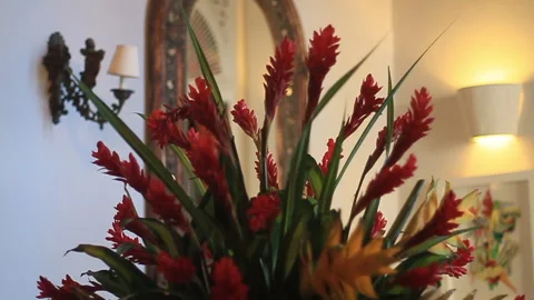 Rack Focus From Background Mirror to Foreground Flower Bouqet Stock Footage 185093933