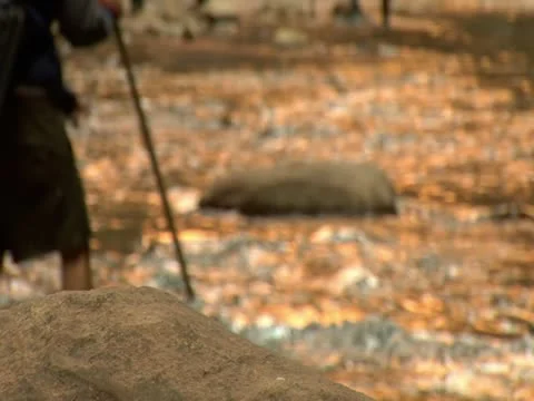 Rack focus, backpackers wade through creek Stock Footage 21683473