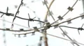 Rack focus of barbed wire at daytime, spikes and wires HD Footage