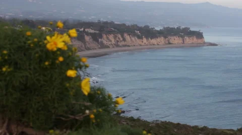 Rack Focus from Beach to Flowers 動画素材 46667611