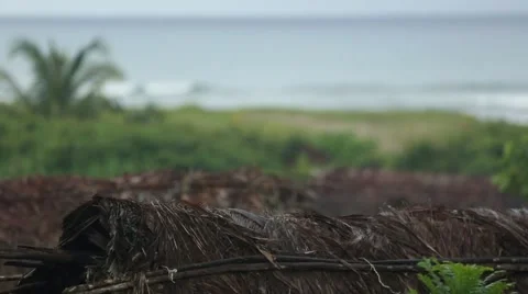 Rack focus between indigenous huts and waves 動画素材 42151040