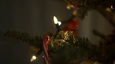 Rack Focus between ornaments on a Christmas Tree Stock Footage 71445410