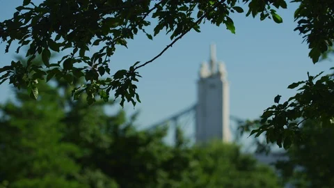 Rack focus between a pillar and branches Stock Footage 99912910