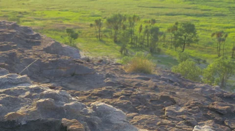Rack Focus between Rock and Pandanus at Ubirr in Kakadu, Australia Stock Footage 68939797