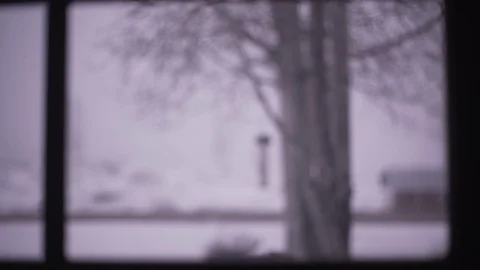 Rack Focus Bird Feeder Through Frozen Window Stock-Footage 87845847