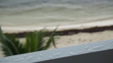 Rack focus to birds on a rainy beach Stock Footage 72155360