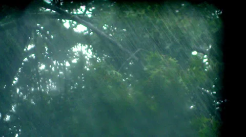 Rack Focus - Blustering Trees through Window during Stormy Weather Stock Footage 32517396