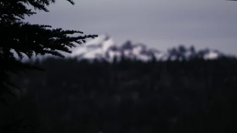 Rack focus from branch to Jagged Mountains (Dark) Stock Footage 83183870