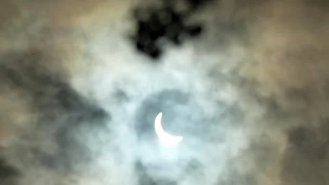 Rack focus from bundle of flowers to lunar eclipse, partially obscured by Stock Footage 280650012