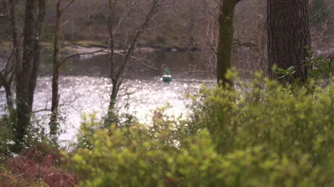 Rack focus from bushes in foreground to floating buoy on Loch Lomond, Scotland Stock Footage 306950021