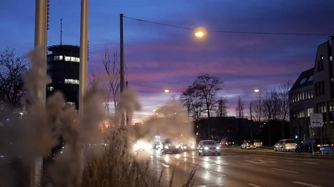 Rack focus from busy road at blue hour in Stuttgart to windy reed Stock Footage 129874305