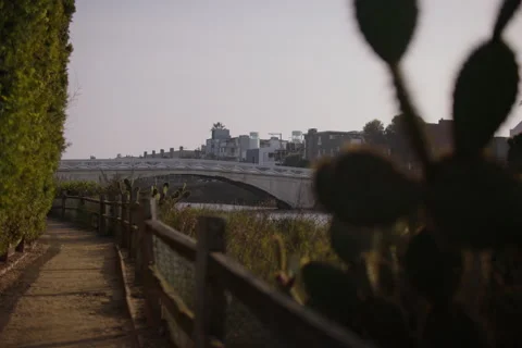 Rack focus, from cactus to pedestrian bridge in background, Venice California Stock Footage 296701293