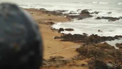 Rack focus Cannon Shift to Old Man Walking On Sandy Beach, Long Shot Stock Footage 131774745