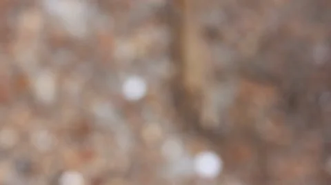 Rack focus of chain Stock Footage 33754522