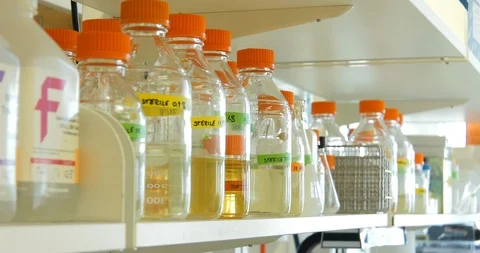 Rack focus of chemicals in lab Stock Footage 114181692