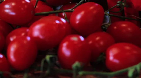 Rack focus Cherry Tomatoes Food Stock Footage 37414347
