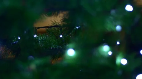 Rack Focus On Christmas's Tree Branches With Flickering Lights, Winter Holiday Stock Footage 82230872