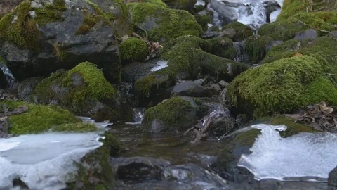Rack focus dolly back from mossy creek to ice on an alaskan river Stock Footage 85102422