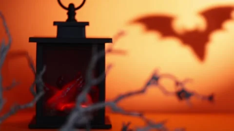 Rack Focus From Dry Branch to Glowing Lantern Fireplace for Halloween Stock Footage 342377869