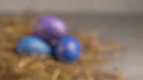 Rack focus easter eggn in straw nest. Stockbeeldmateriaal 232940657