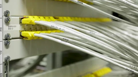 Rack focus establisher white network cables at a modern server center, 库存影片 250251359