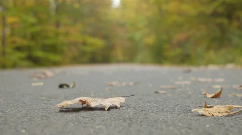 Rack focus of family walking down nature trail Stock Footage 34448615