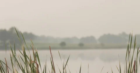 Rack focus on field and lake in foggy weather Stock Footage