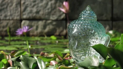 Rack Focus from Flower to Bust of Siddhartha 스톡 동영상 87235546