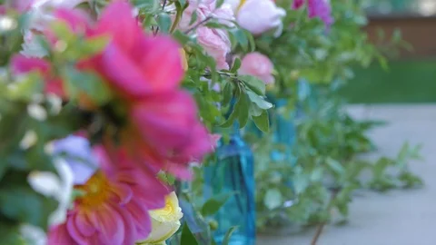 Rack Focus Flowers Stock Footage 102185669