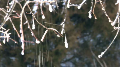 Rack focus foreground to background Video stock 1052134