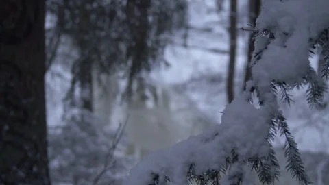Rack focus to frozen river Stock Footage 102906465