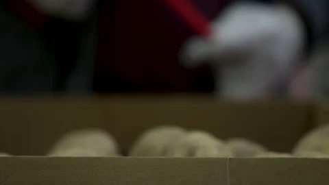 Rack focus of gloved hands tying up a bag of potatoes at a volunteer food bank Video stock 130992936