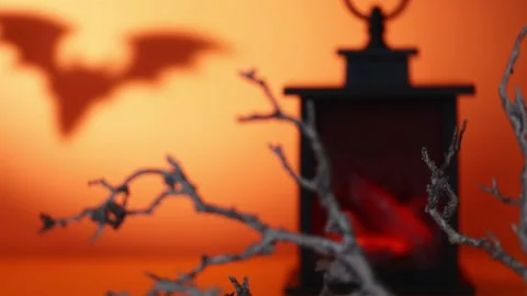 Rack Focus to Glowing Lantern Fireplace With Moving Bat Shadow Stock Footage 342377880
