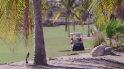 Rack focus on golf cart sitting under palm trees on tropical golf course Stock Footage 211553932