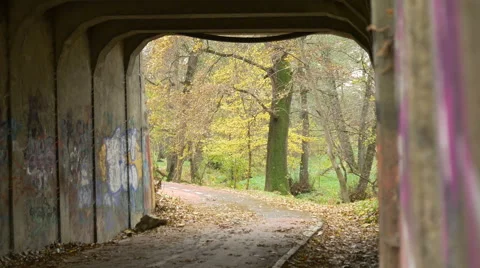 Rack Focus in Grunge Park Tunnel Stockbeeldmateriaal 57307953