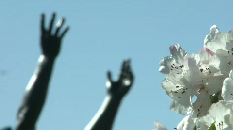 Rack Focus Hands flowers statue Video stock 685496