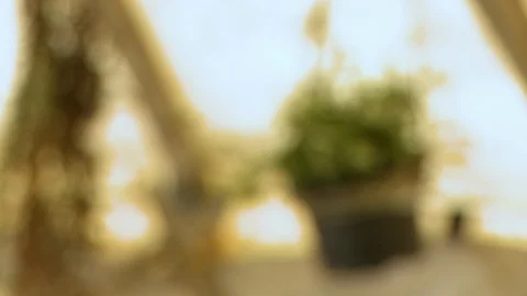 Rack focus to a hanging pot in a tent Stock Footage 115892787