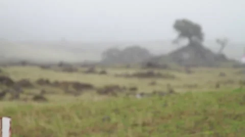 Rack focus of Hawaii landscape.  Video stock 50654573