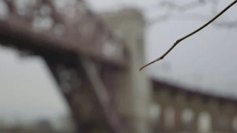 Rack focus Hellsgate Stock Footage 74089961