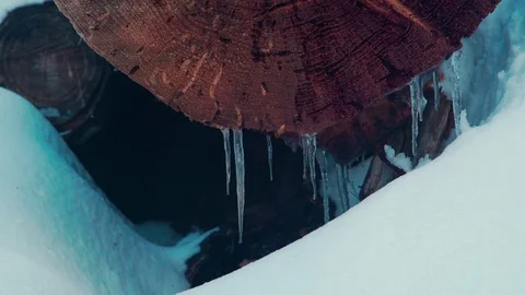 Rack Focus to Icicles Hanging Off Log Video stock 72004030